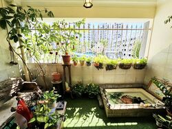 Blk 205A Compassvale Lane (Sengkang), HDB Executive #459761221